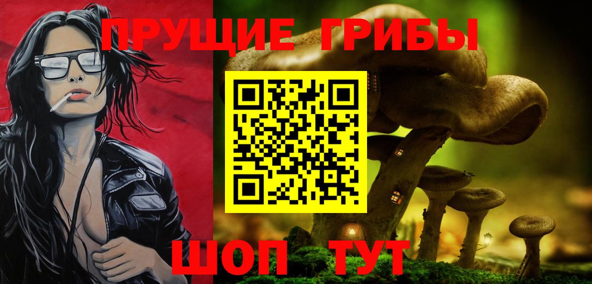 хочу   Галлюциногенные грибы ЛСД  Вход с VPN  Нижний Новгород 